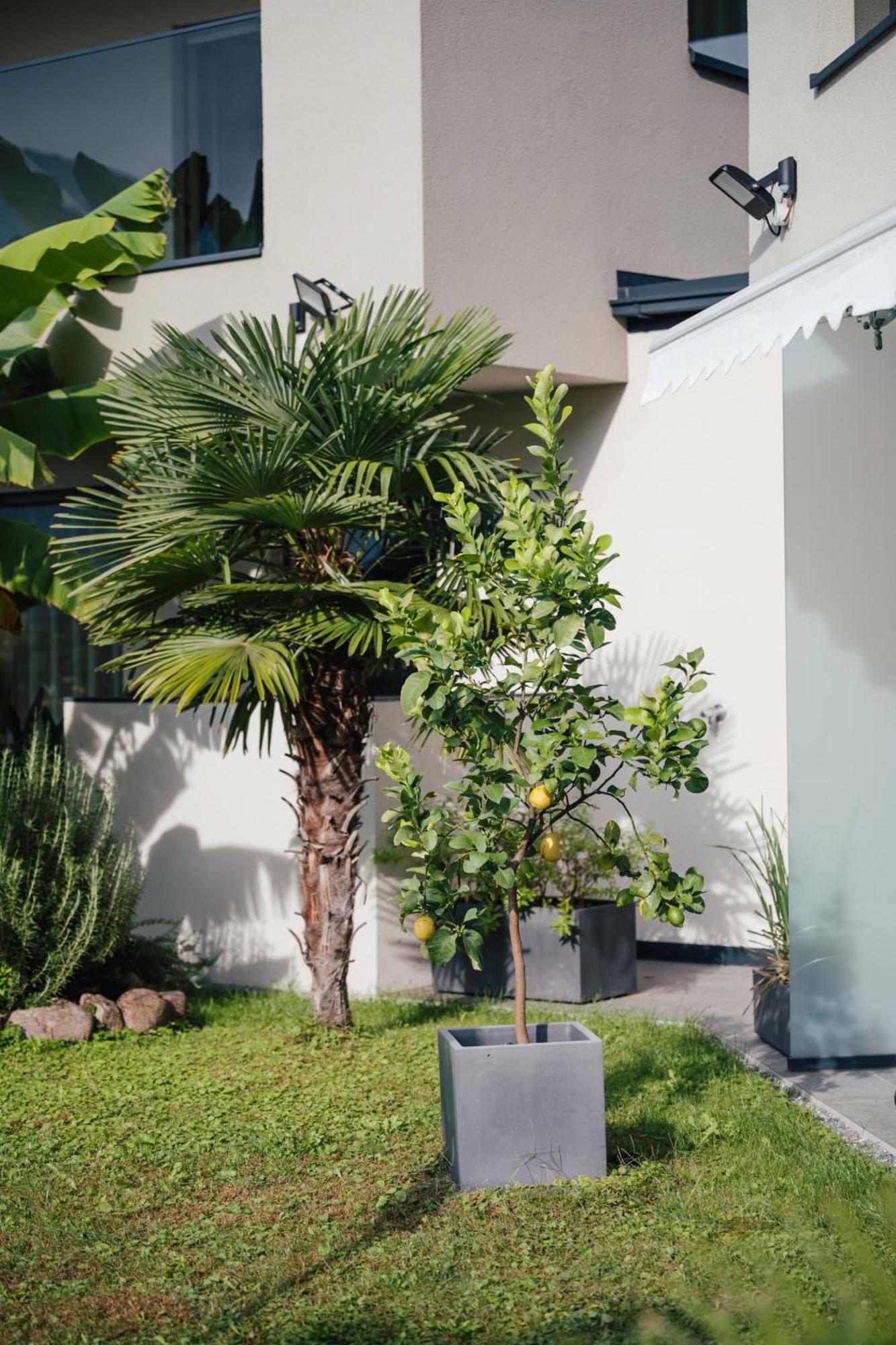 גרגצונה Garden Lodge מראה חיצוני תמונה